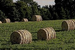 Hay-Bails