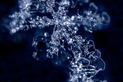 Keith_Marlowe-Ice_Crystal