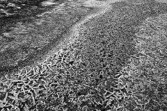 Salt-Flats-BW