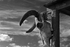 18BW3-At-the-Ranch-FS