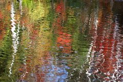 19C5-Fall-Colours-FS
