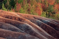 19P3-Patterns-in-the-Fall-FS