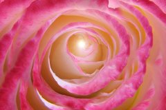 21C1-Cosmic-Harmony-FS