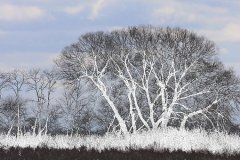 21C2-Winter-landscape-FS