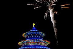 20CP1-Colors-in-the-Night-FS-M
