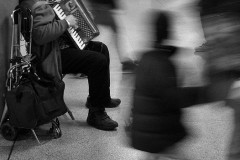 21P2-Amid-the-Bustle-FS-M