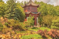 In the Chinese Garden