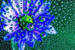 Bubbles Galore