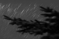 Hailing Sky