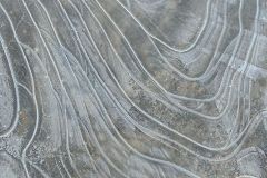 Ice Sketch