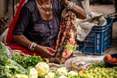 Veggie Vendor