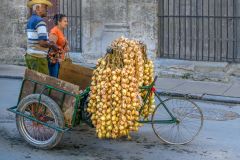 Havana Vendor