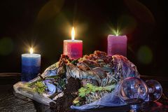 Still Life of the Food We Waste