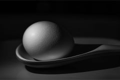 National Egg Day