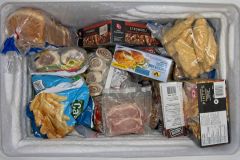 Frozen Dinner