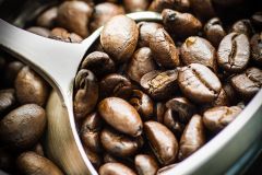 Cup of Joe