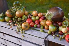 Harvest Cornucopia