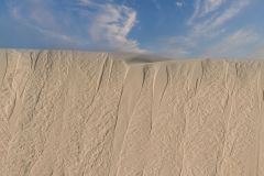 Sand Spikes in White Sands, Nm