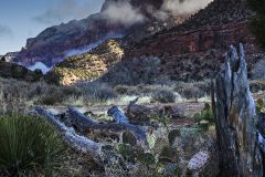 Sunrise at Zion National Park