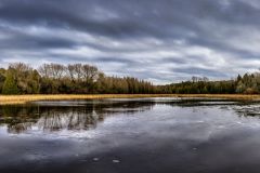 Tyronne Mill Pond