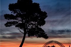 Yaquina Dawn