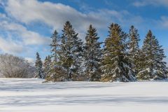 Freshness of New Snow