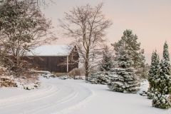 Pretty As a Christmas Card