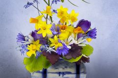 Spring Flowers