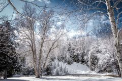 After the Snowfall