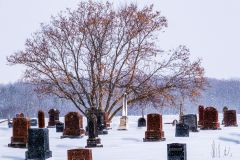 Snow Falling Gently Glenarm Cemetery