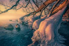 Lynde Shores Conservation Area