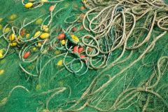 Fishing Mess