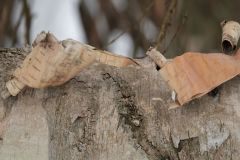 Falling Apart