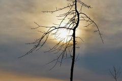 Sunrise Silhouette