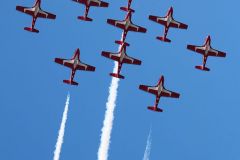 Snowbirds