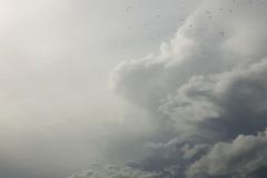 Calm Before the Storm