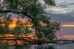 Vibrance at Sunrise
