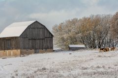Horse Farm in Winter
