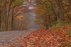 Misty Autumn Morning