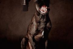 The Singer