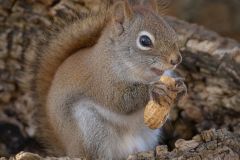 Snacktime