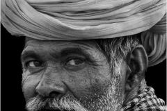 Camel Herder