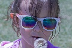 Dandelion Wishes