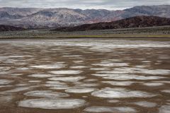 Cotton Ball Basin