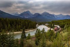 Morant's Curve