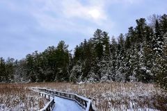 Ken Reid Boardwalk