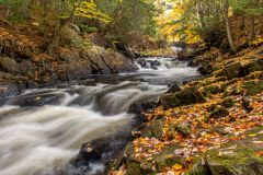 Autumn Splendor