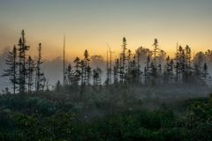 October Sunrise