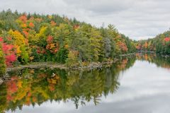 Awesome Autumn