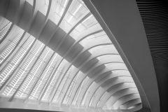S. Callatrava Architect